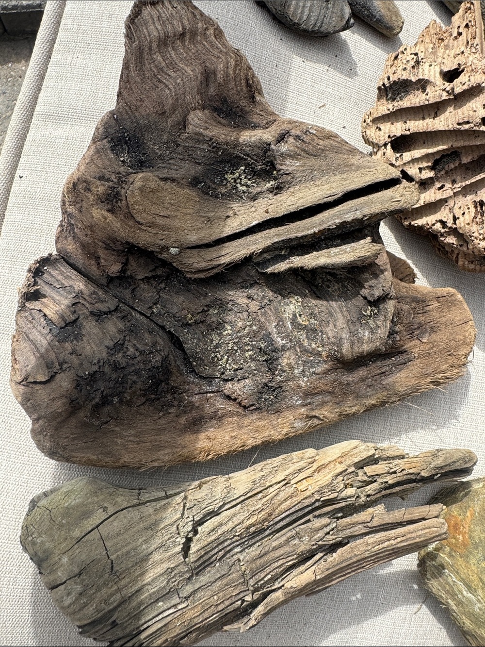 For LYNDA 19 pc (5 lb shipped) Natural Driftwood for Craft, Projects, Upcycle - Picture 4 of 16